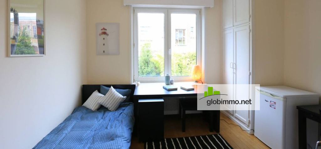 570 Eur Studio Appartement A Louer A Ixelles Bruxelles Globimmo Net