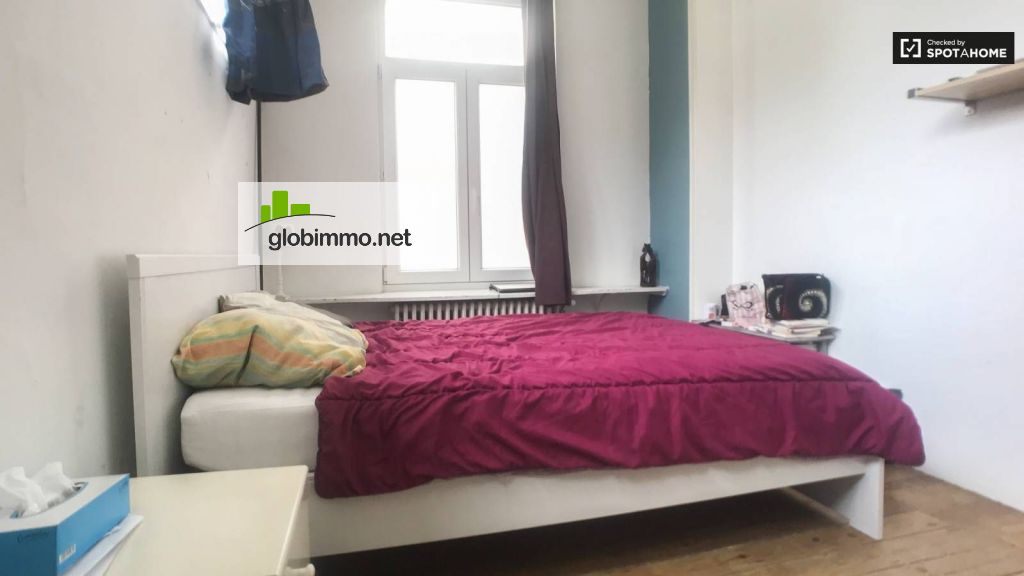 Cozy room for rent in 3-bedroom flat, Schaerbeek, Brussels, Avenue de Roodebeek 91, 1030 Schaerbeek, Belgium, 1030 Brussels