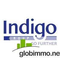 Indigo Education Group