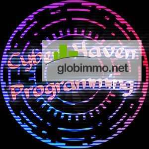 Cyber Haven Programming