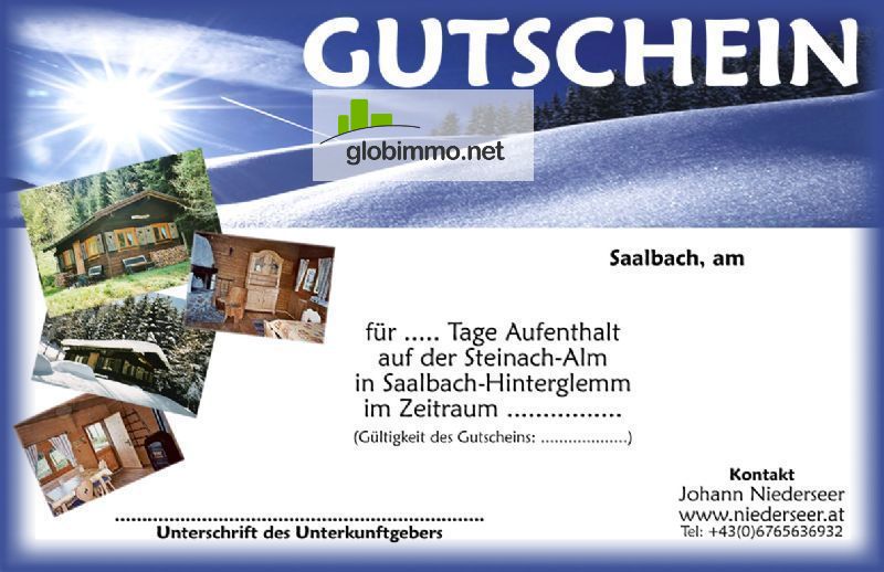 Glemmtaler Landesstr. 613, 5753 Saalbach-Hinterglemm, Steinach-Alm - ID3
